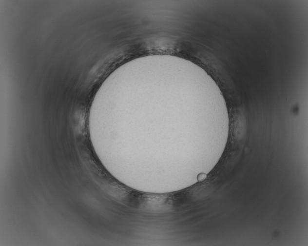 X0000115710709200912241544