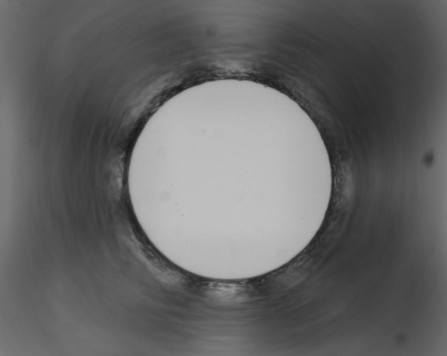 X0000115710710200912241544