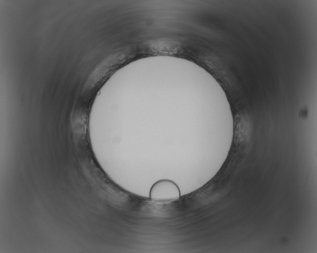 X0000115710713200912241544