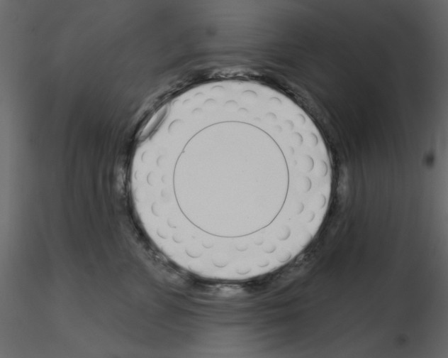 X0000115710715200912241544