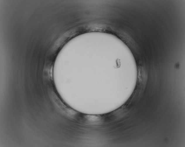 X0000115710718200912241544