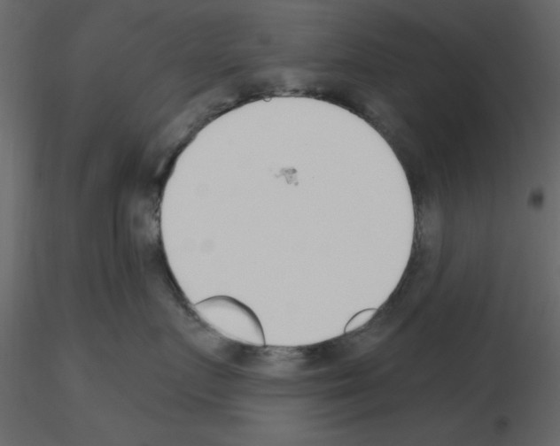 X0000115710719200912241544