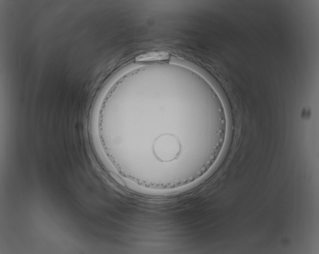 X0000115710720200912241544