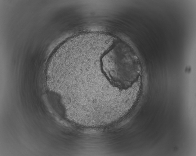 X0000115710721200912241543