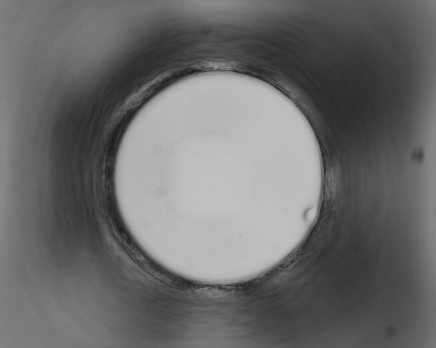 X0000115710722200912241543