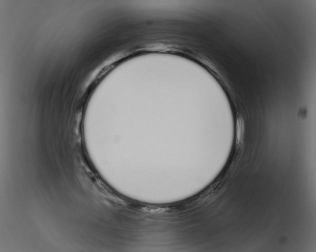 X0000115710723200912241543