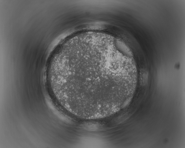 X0000115710726200912241543