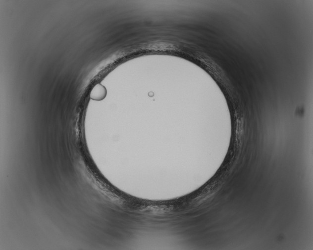 X0000115710727200912241543