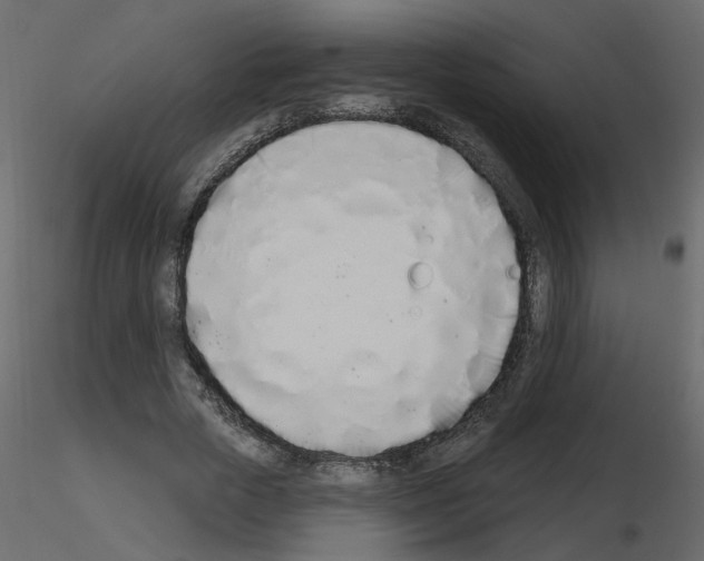 X0000115710729200912241543