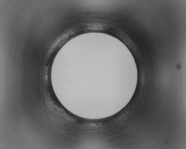 X0000115710731200912241543