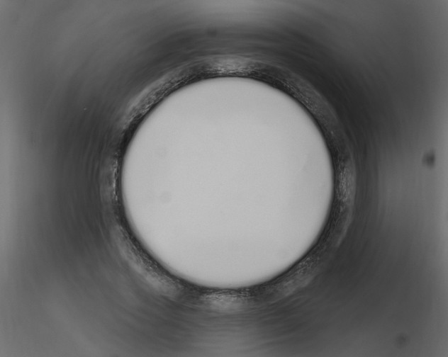 X0000115710733200912241543