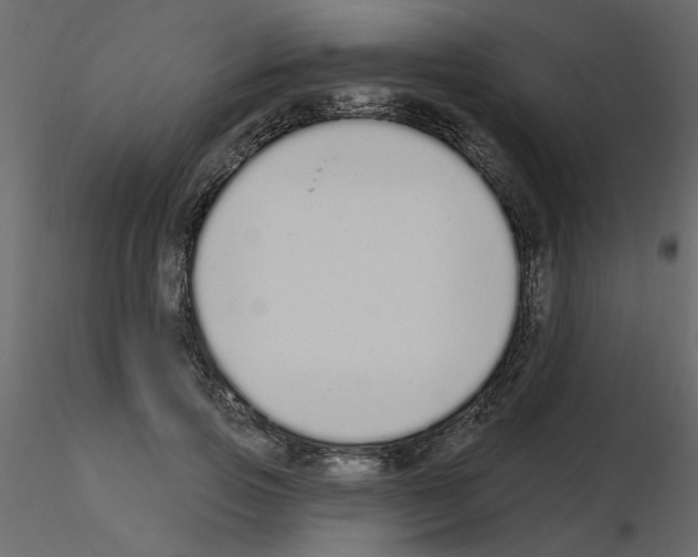 X0000115710741200912241543