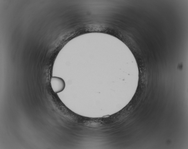 X0000115710743200912241543