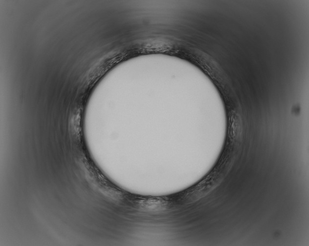 X0000115710745200912241543