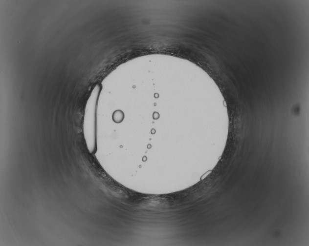 X0000115710750200912241543