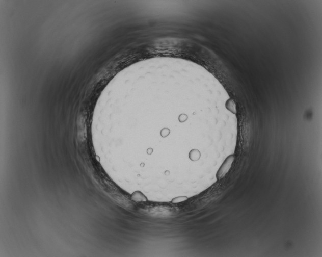 X0000115710751200912241543