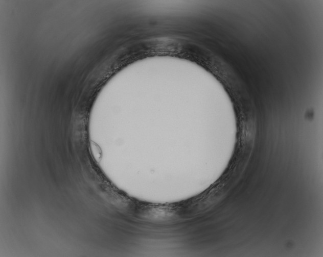 X0000115710753200912241543