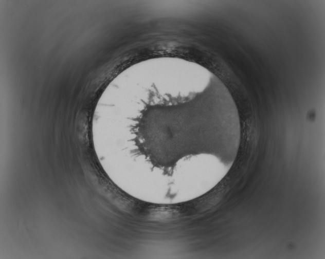 X0000115710754200912241543