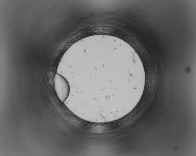 X0000115710755200912241543