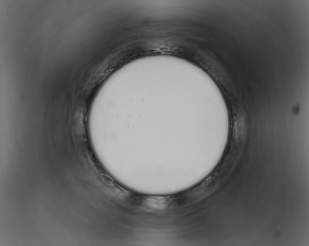 X0000115710757200912241543