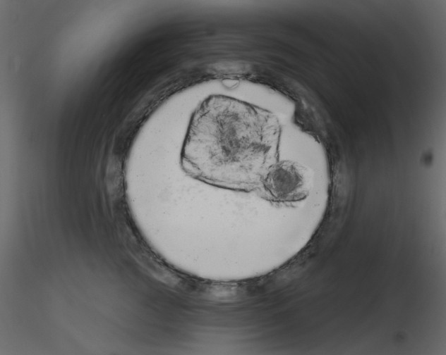 X0000115710761200912241543