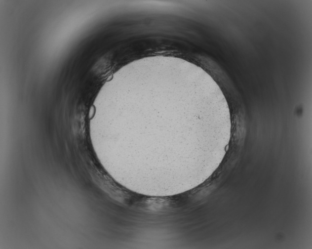 X0000115710762200912241543