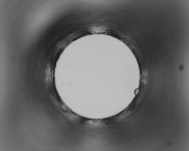 X0000115710763200912241543