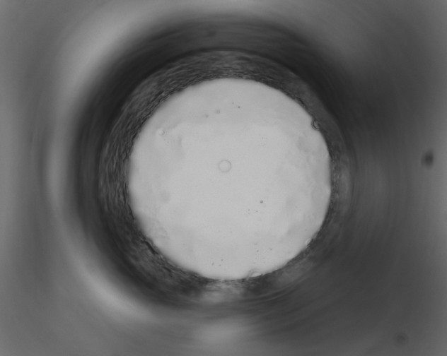 X0000115710765200912241543