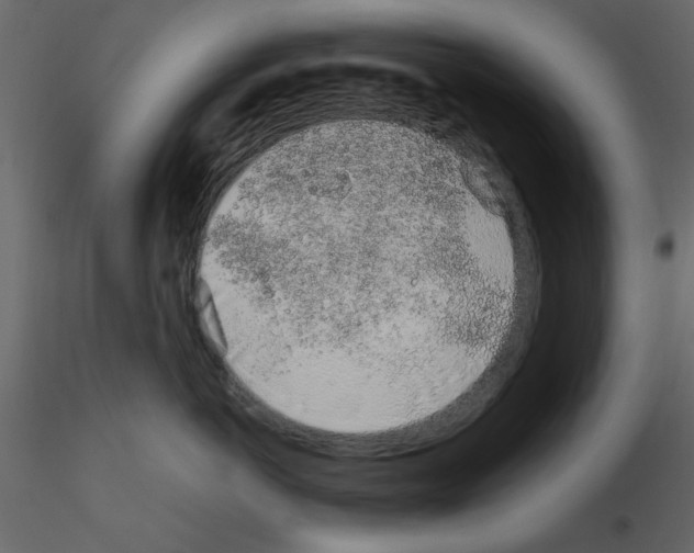 X0000115710766200912241543