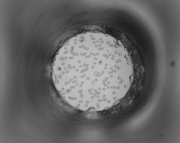 X0000115710767200912241543