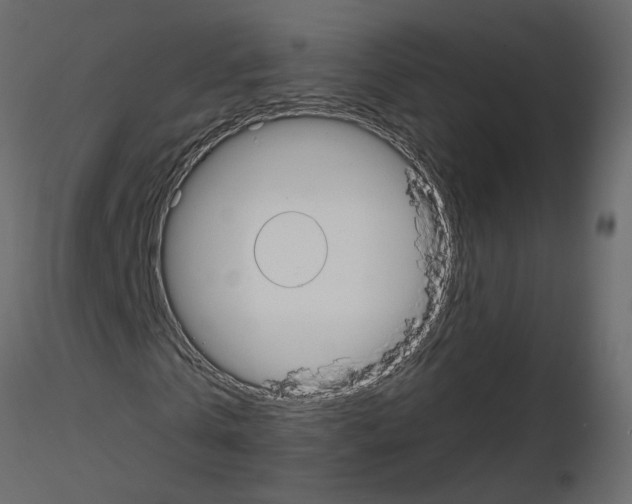 X0000115710769200912241543