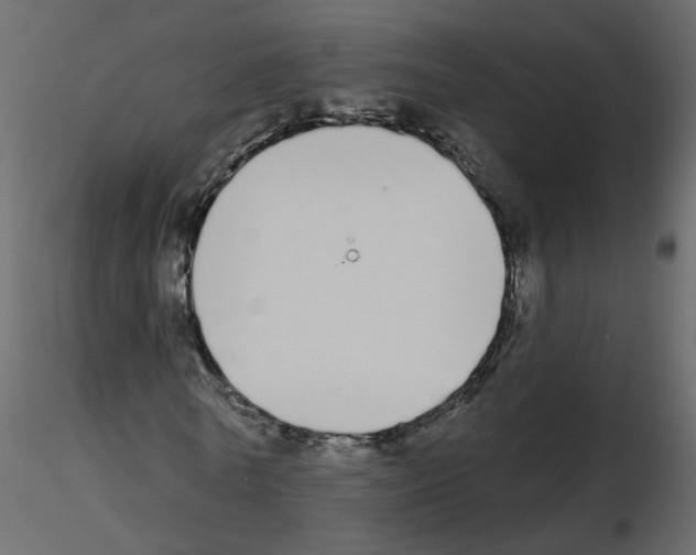 X0000115710770200912241543