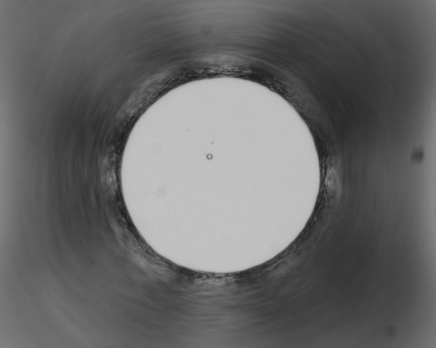 X0000115710771200912241543