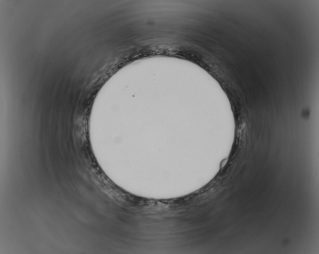 X0000115710772200912241543