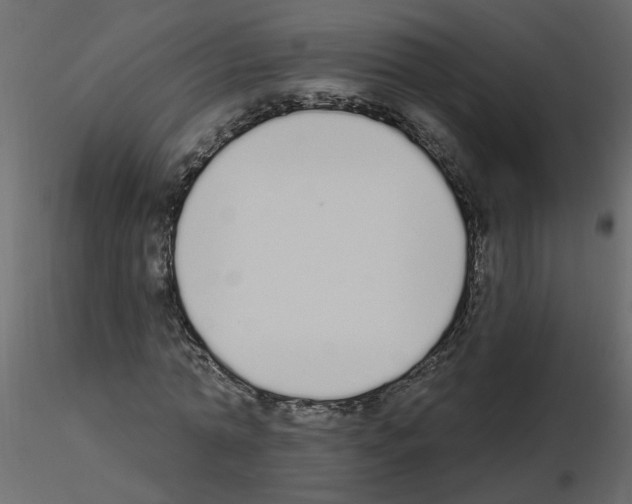 X0000115710774200912241543