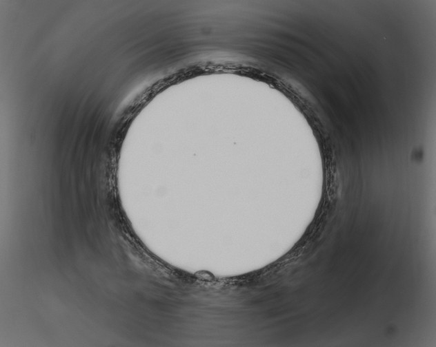 X0000115710775200912241543