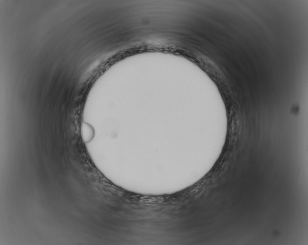 X0000115710776200912241543