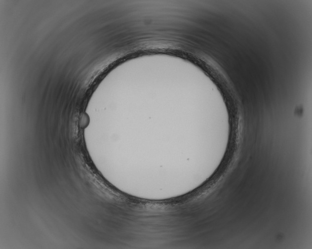 X0000115710777200912241543