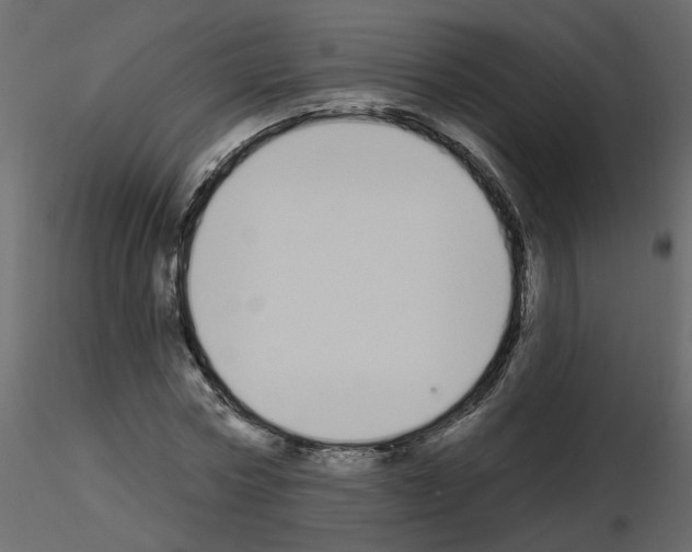 X0000115710778200912241543