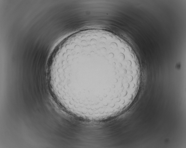 X0000115710779200912241543