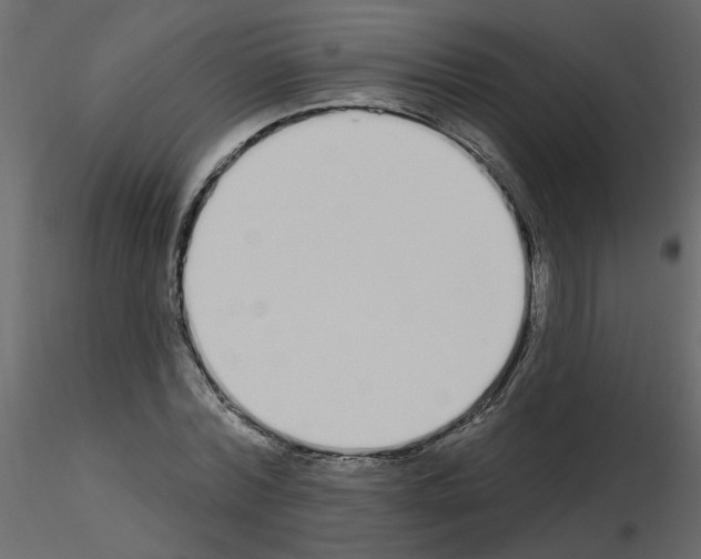 X0000115710780200912241543