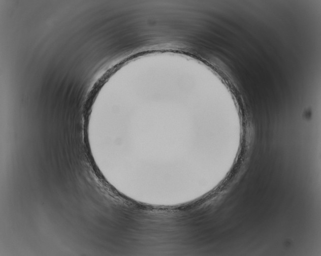 X0000115710781200912241543