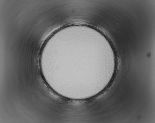 X0000115710782200912241543