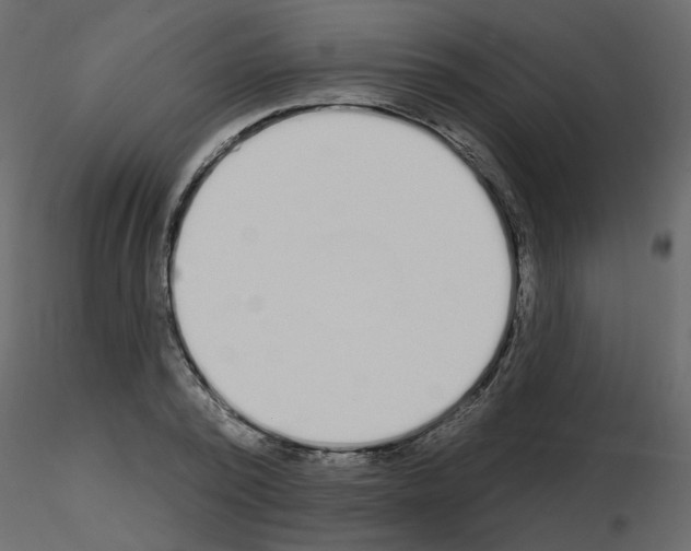 X0000115710784200912241543