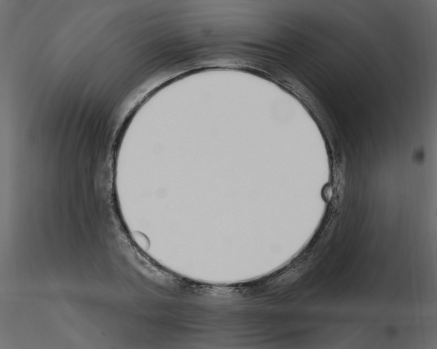 X0000115710787200912241543