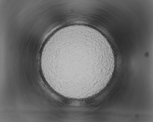 X0000115710790200912241543