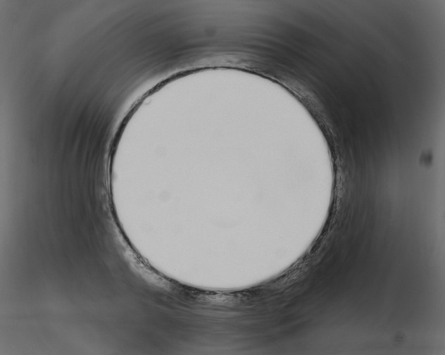 X0000115710792200912241543