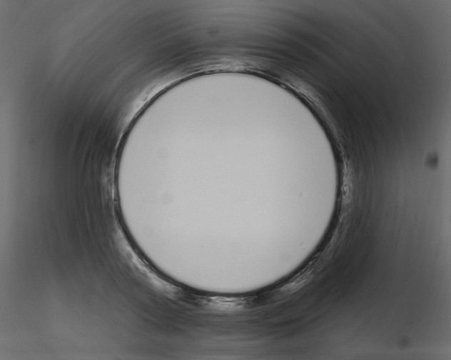 X0000115710794200912241543