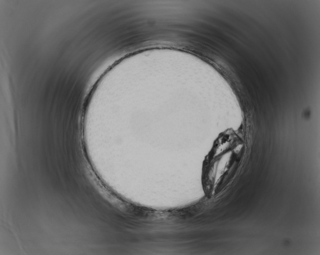 X0000115710796200912241542