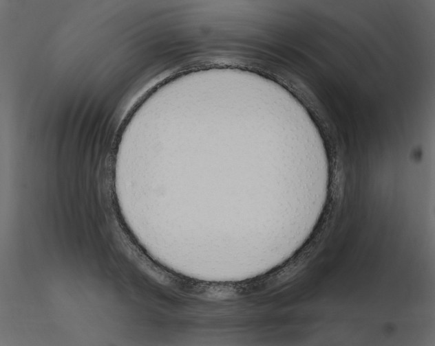 X0000115710798200912241542